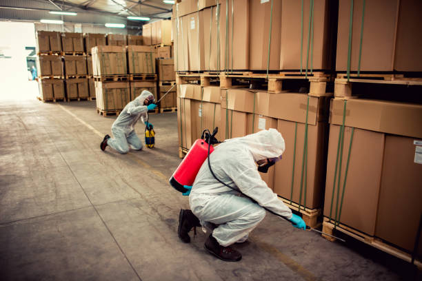 Wildlife Control Services in Munroe Falls, OH
