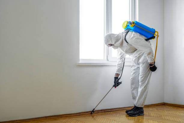 Best Wasp Removal Services  in Munroe Falls, OH