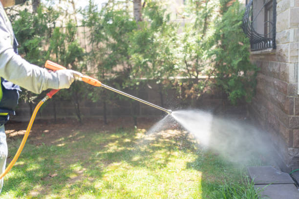 Best Emergency Pest Control  in Munroe Falls, OH