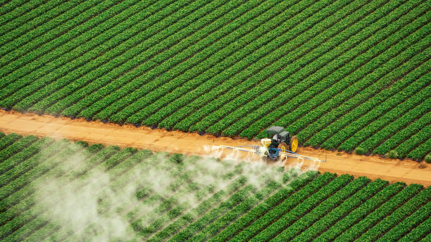 Best Pest Removal Services  in Munroe Falls, OH