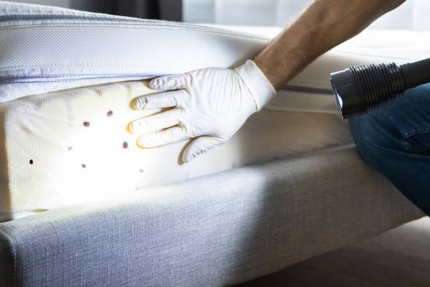 Best Residential Pest Control  in Munroe Falls, OH