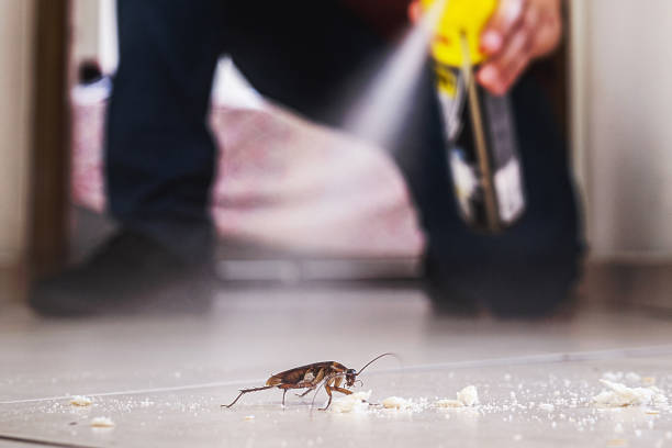 Best Mosquito Control Services  in Munroe Falls, OH