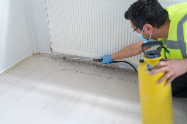 Best Pest Prevention Services  in Munroe Falls, OH