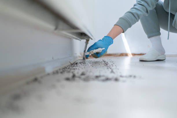Pest Prevention Services in Munroe Falls, OH