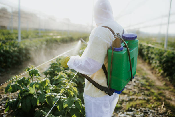 Best Bed Bug Extermination  in Munroe Falls, OH